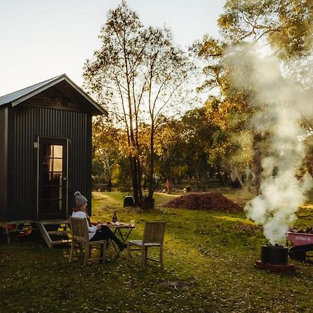 Вілла Ardingly Tiny House Newham Екстер'єр фото
