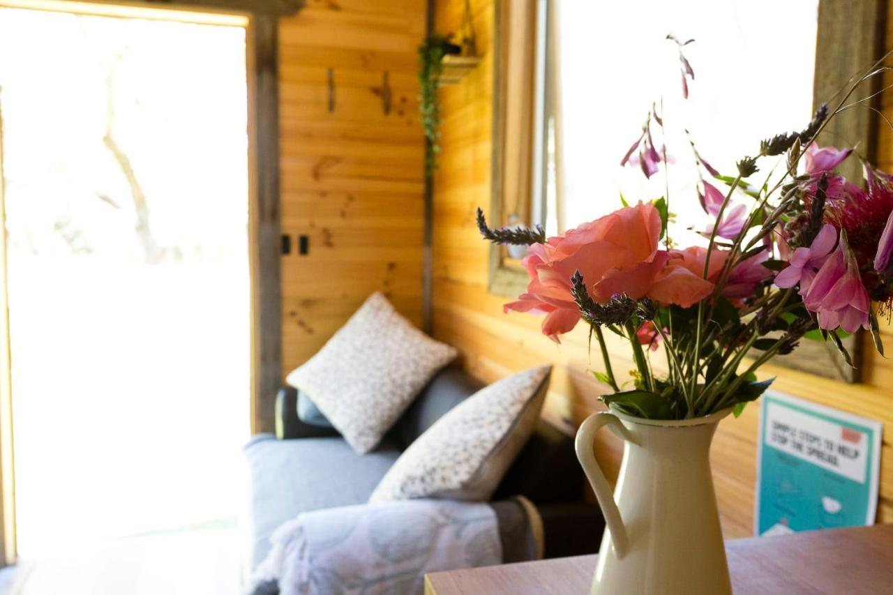 Вілла Ardingly Tiny House Newham Екстер'єр фото